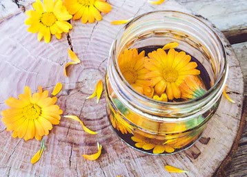 Calendula: The Superior Ingredient