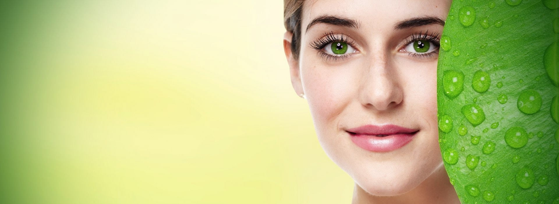 The Sale 70% <br> On All New Products