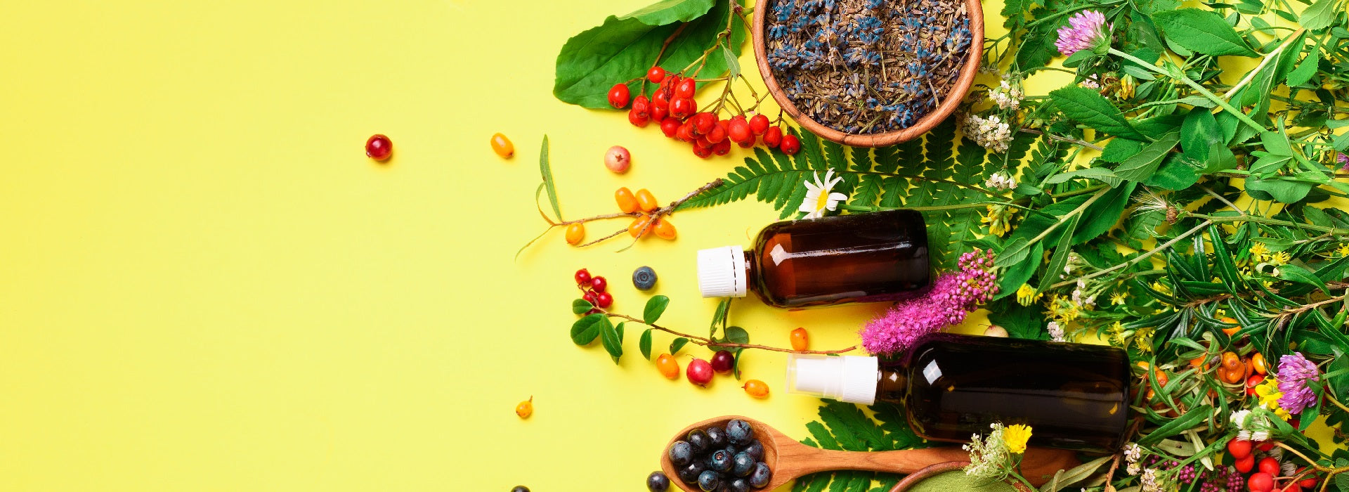 The Sale 70% <br> On All New Products